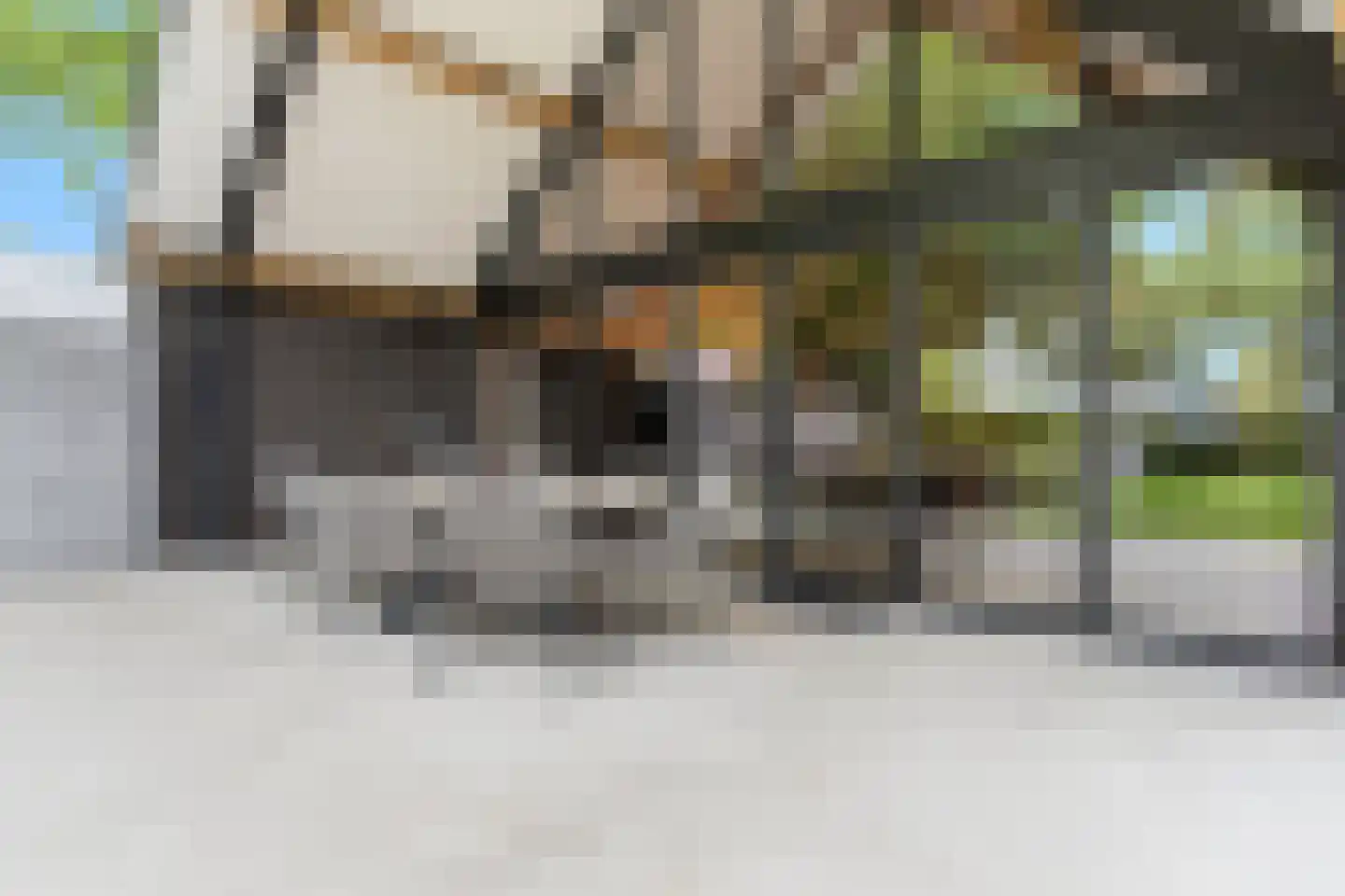 Oudestraat 61 Gemert thumbnail 57