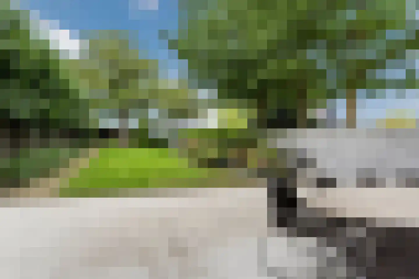 Oudestraat 61 Gemert thumbnail 58