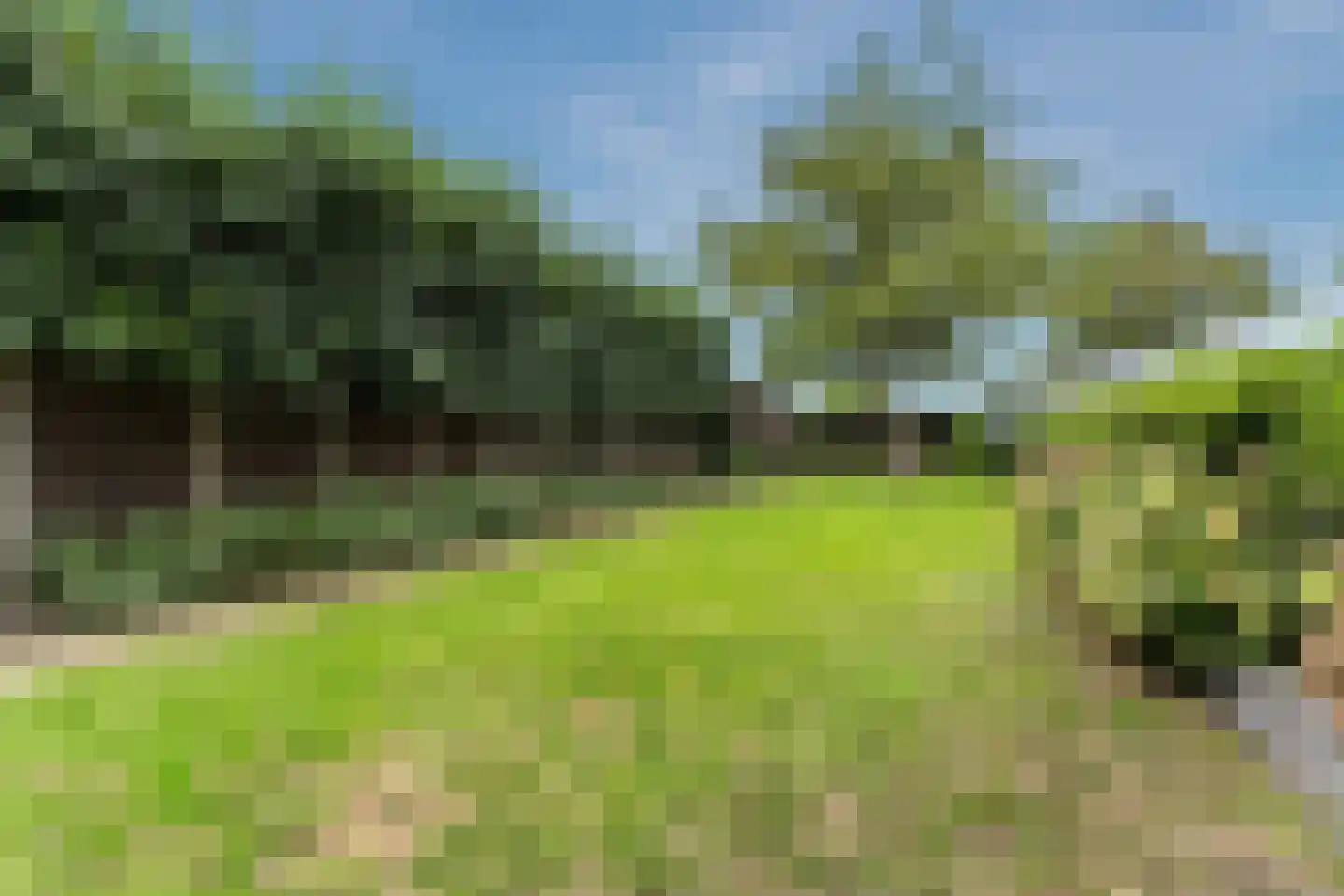Oudestraat 61 Gemert thumbnail 63