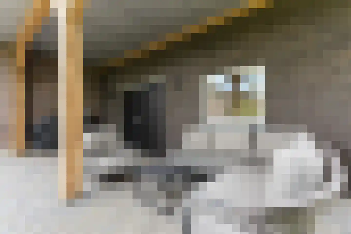 Oudestraat 61 Gemert thumbnail 66
