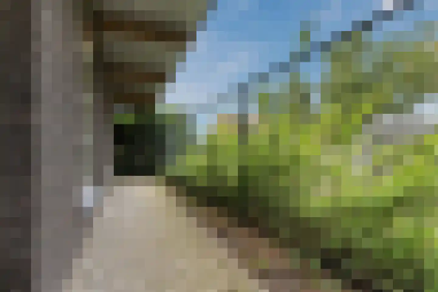 Oudestraat 61 Gemert thumbnail 74