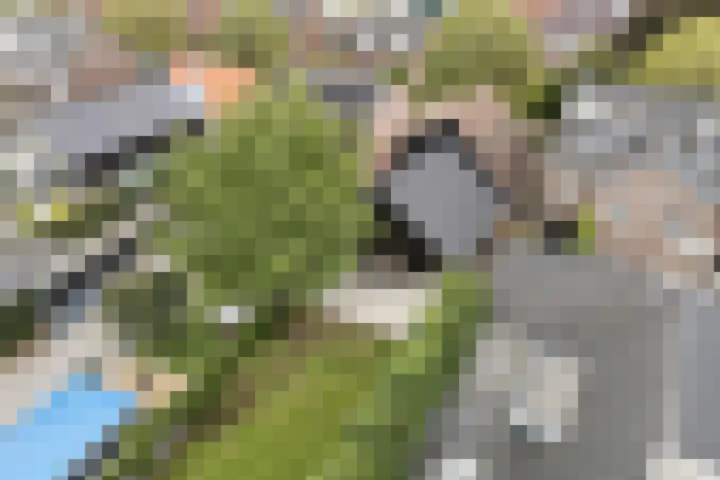 Oudestraat 61 Gemert thumbnail 78