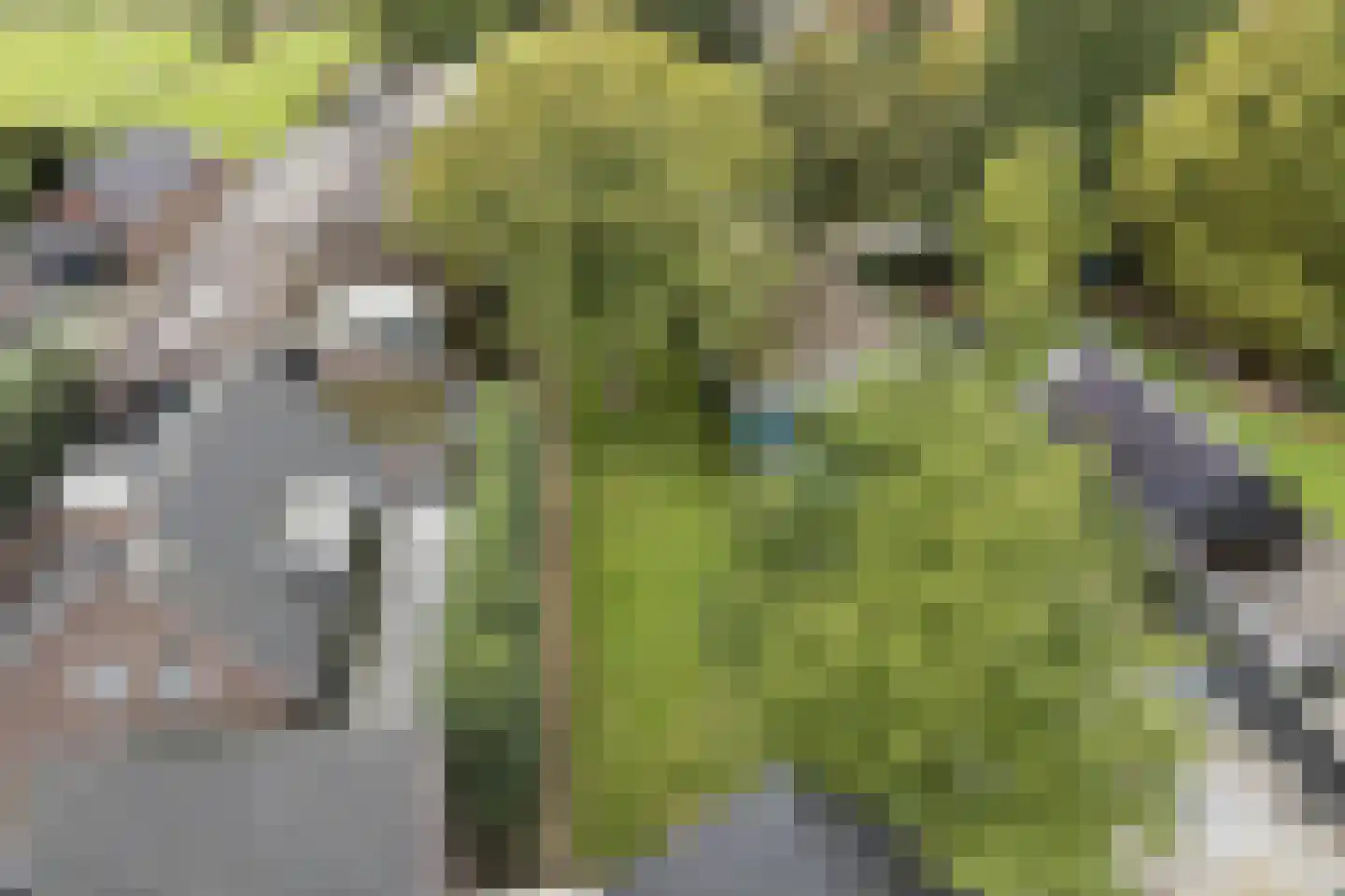 Oudestraat 61 Gemert thumbnail 79
