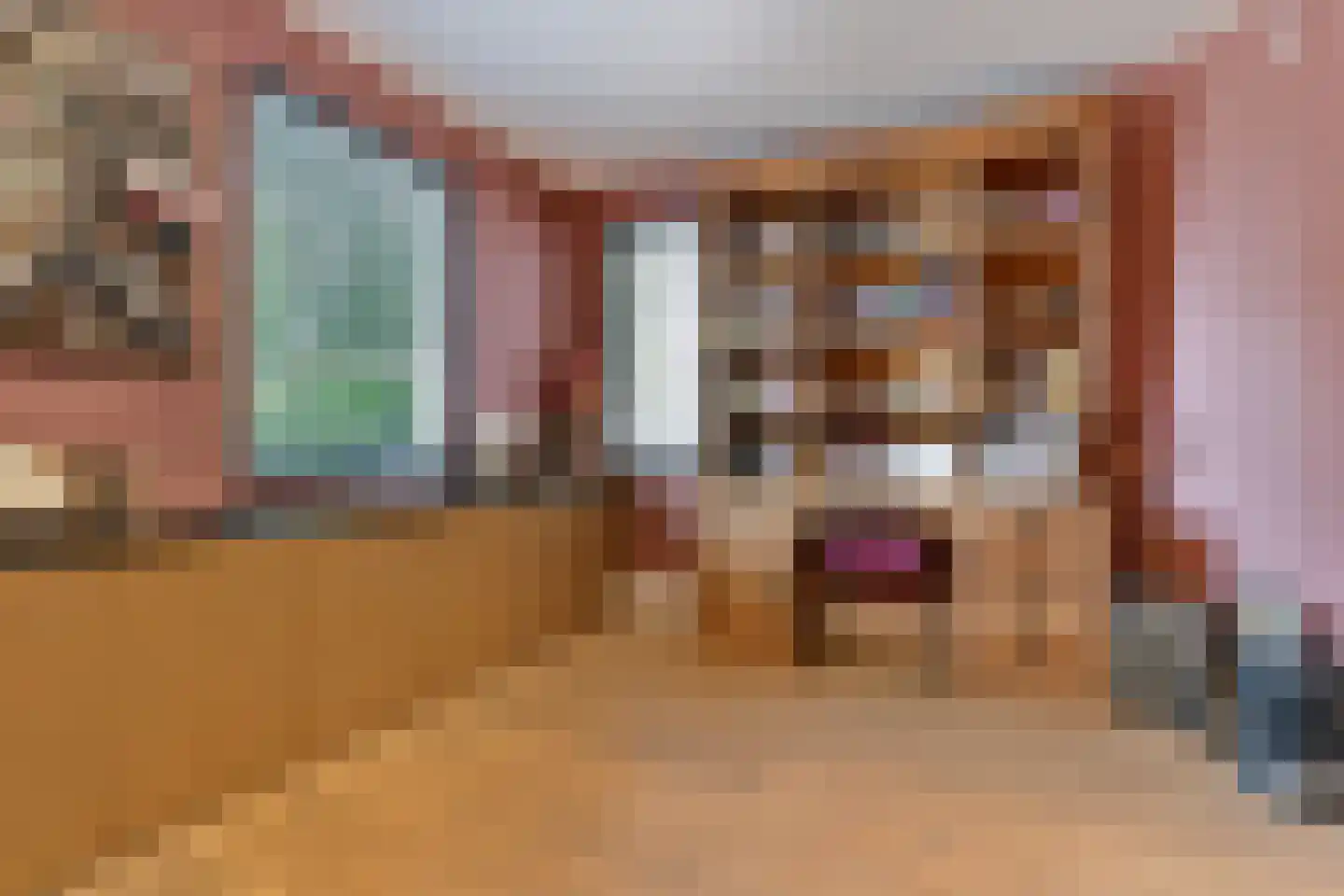 Oudestraat 61 Gemert thumbnail 8