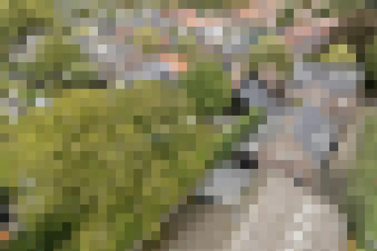 Oudestraat 61 Gemert thumbnail 80