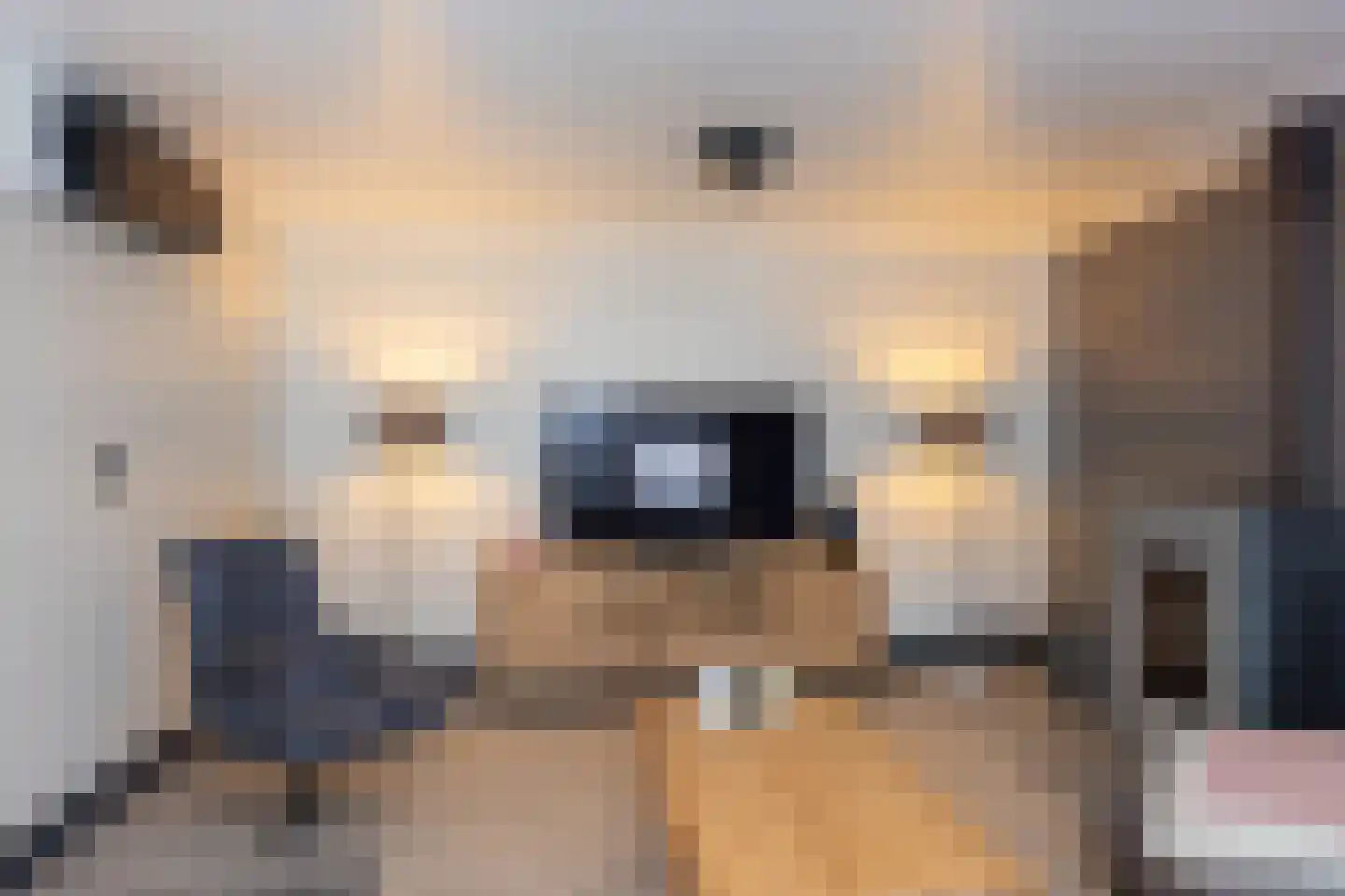 Oudestraat 72 Neede thumbnail 20