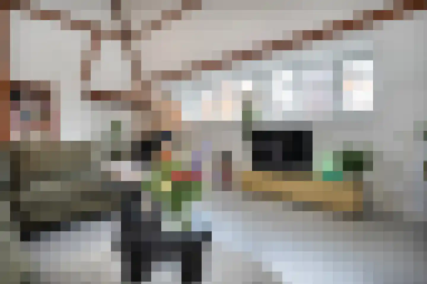 Oudestraat 8 B Kampen thumbnail 17