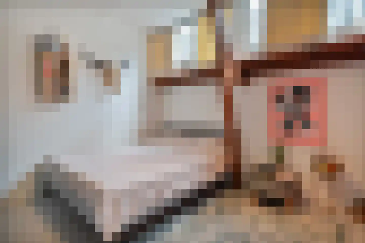 Oudestraat 8 B Kampen thumbnail 21