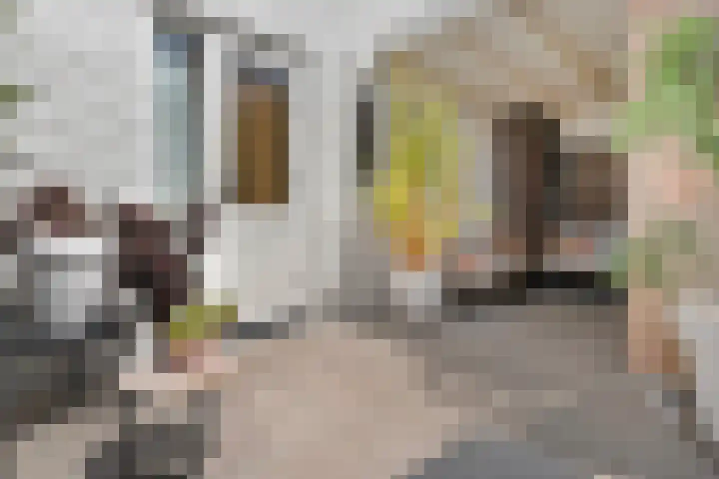 Oudestraat 8 B Kampen thumbnail 32