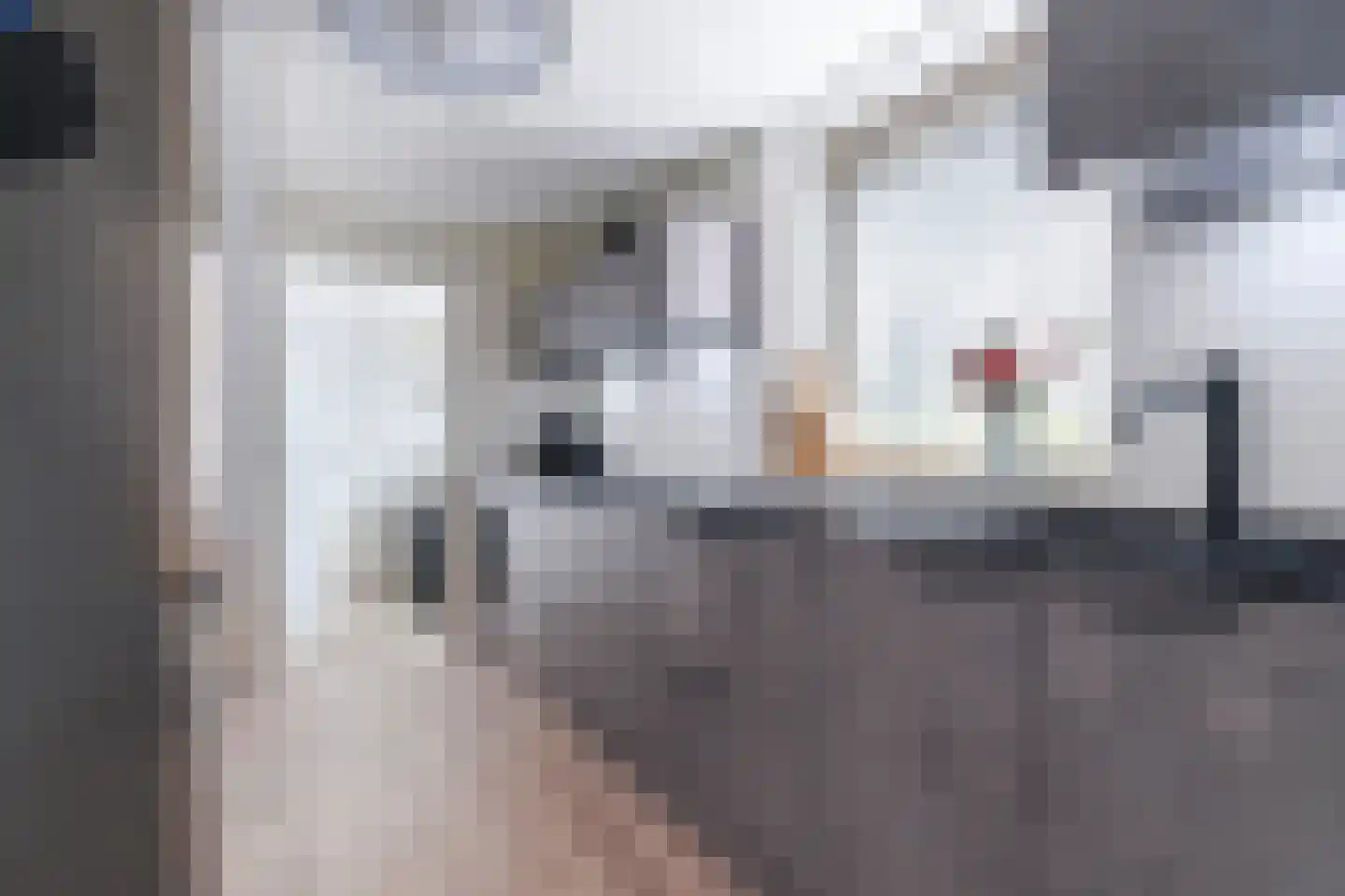 Oudestraat 8 Sprang-Capelle thumbnail 10
