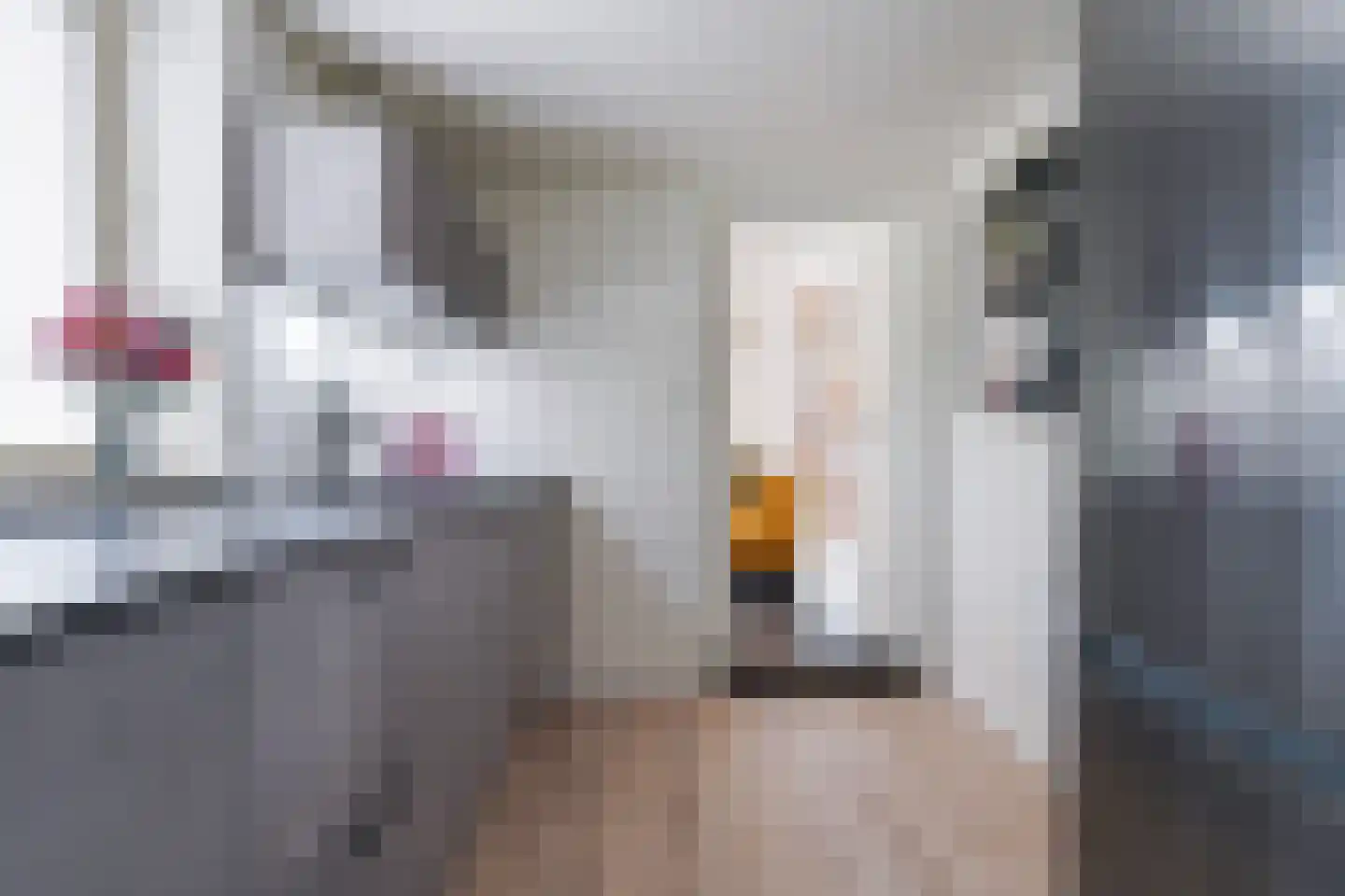 Oudestraat 8 Sprang-Capelle thumbnail 12