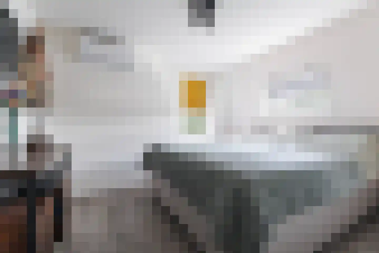 Oudestraat 8 Sprang-Capelle thumbnail 19