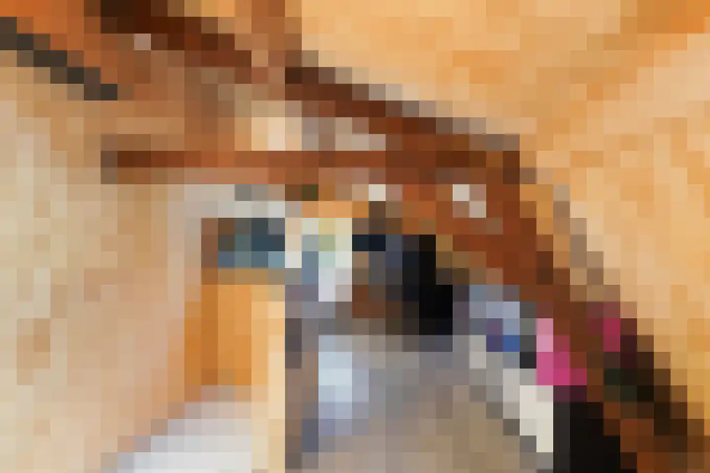 Oudestraat 8 Sprang-Capelle thumbnail 23