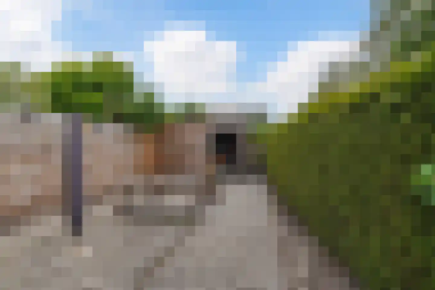 Oudestraat 8 Sprang-Capelle thumbnail 29