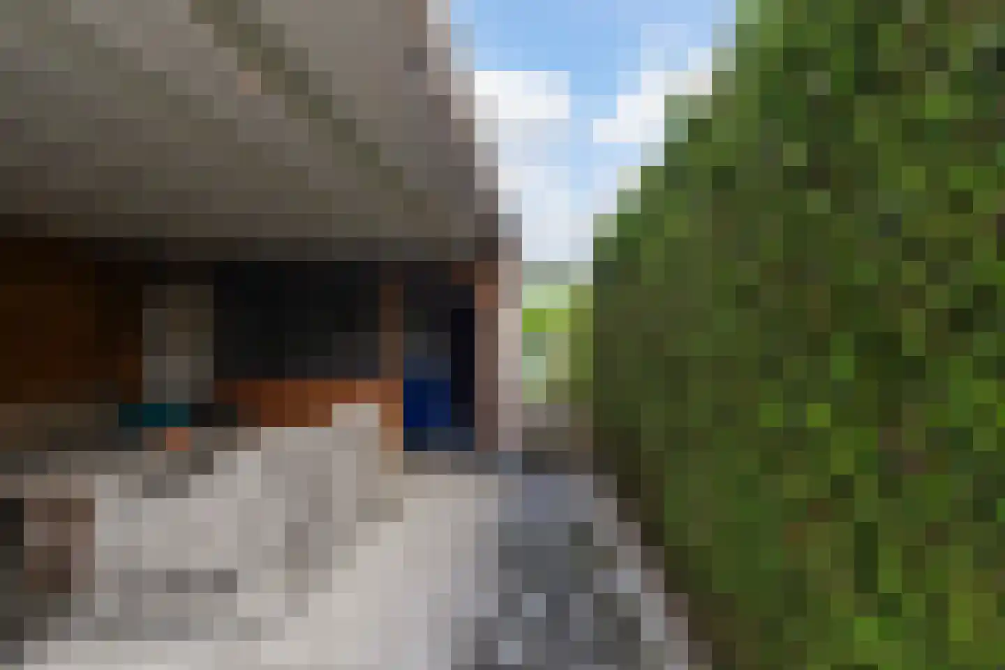 Oudestraat 8 Sprang-Capelle thumbnail 30