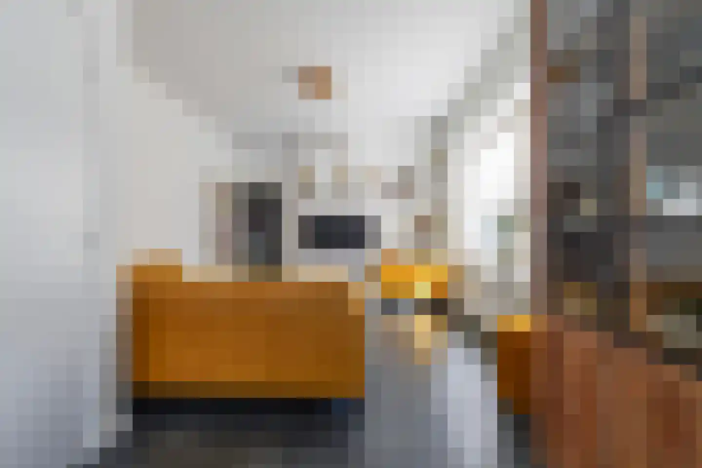 Oudestraat 8 Sprang-Capelle thumbnail 8