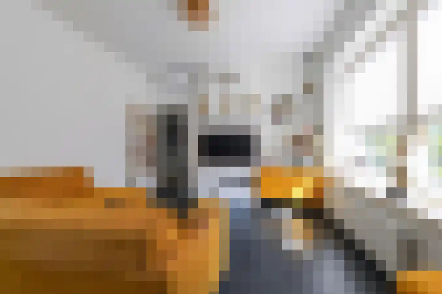 Oudestraat 8 Sprang-Capelle thumbnail 9
