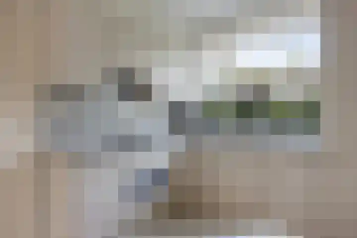 Oudestreek 12 I Zevenhuizen thumbnail 10