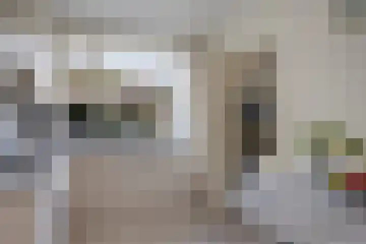Oudestreek 12 I Zevenhuizen thumbnail 11