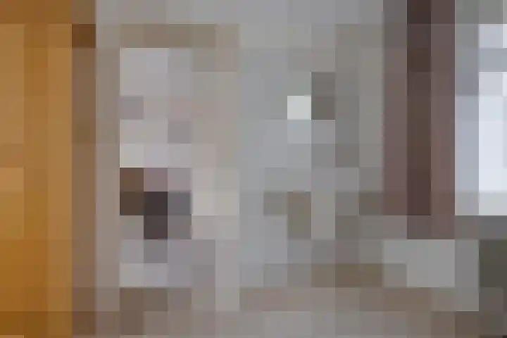 Oudestreek 12 I Zevenhuizen thumbnail 13