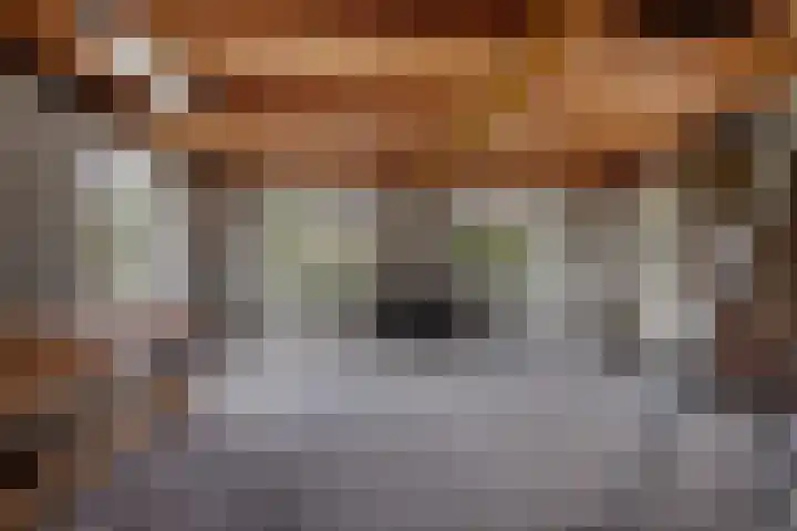 Oudestreek 12 I Zevenhuizen thumbnail 25