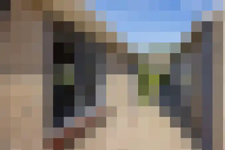 Oudestreek 12 I Zevenhuizen thumbnail 29