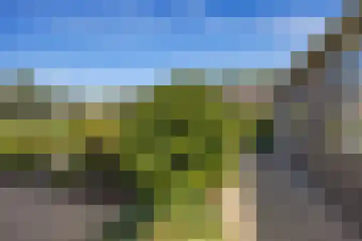 Oudestreek 12 I Zevenhuizen thumbnail 30