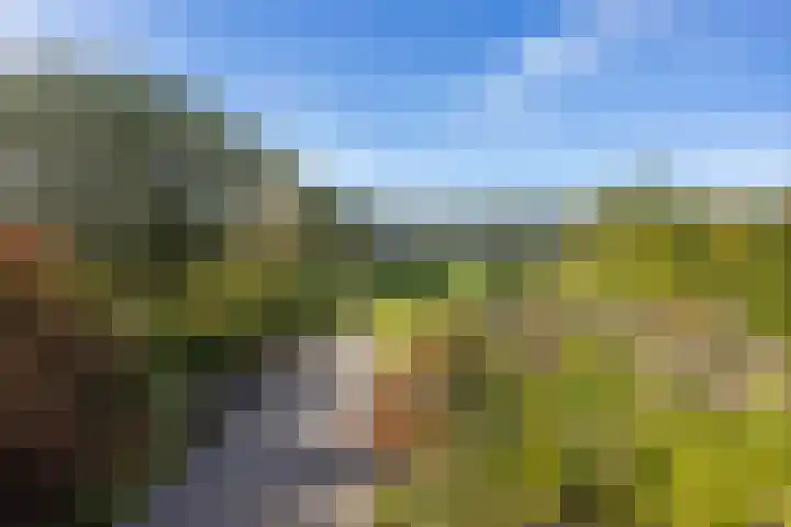 Oudestreek 12 I Zevenhuizen thumbnail 31