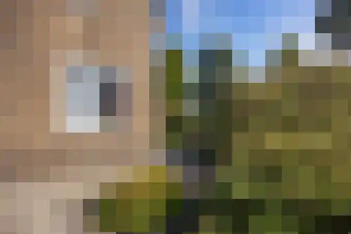 Oudestreek 12 I Zevenhuizen thumbnail 32