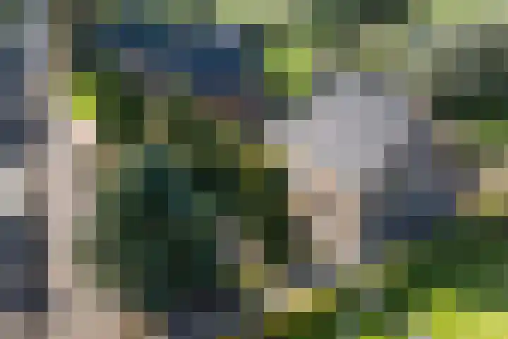Oudestreek 12 I Zevenhuizen thumbnail 35