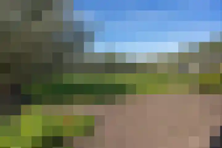 Oudestreek 12 I Zevenhuizen thumbnail 36