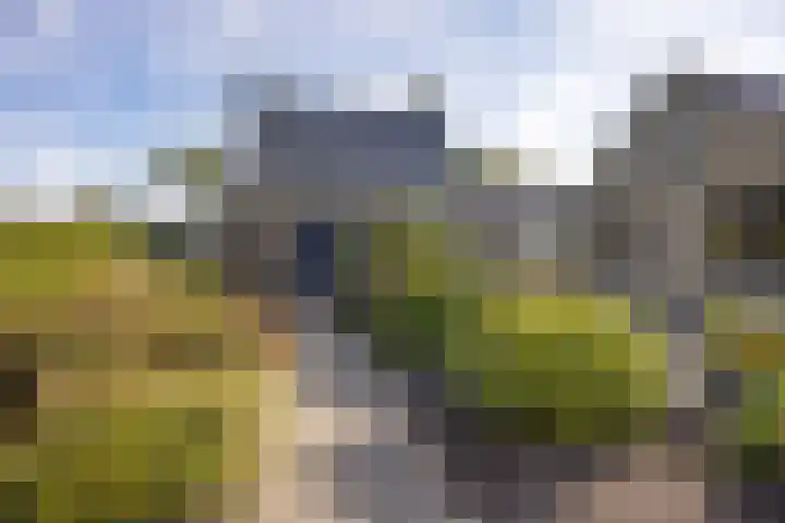 Oudestreek 12 I Zevenhuizen thumbnail 37