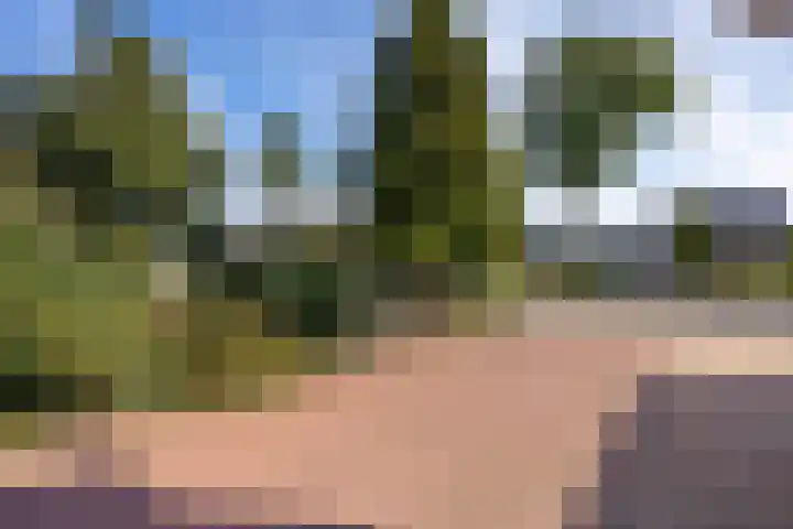 Oudestreek 12 I Zevenhuizen thumbnail 39