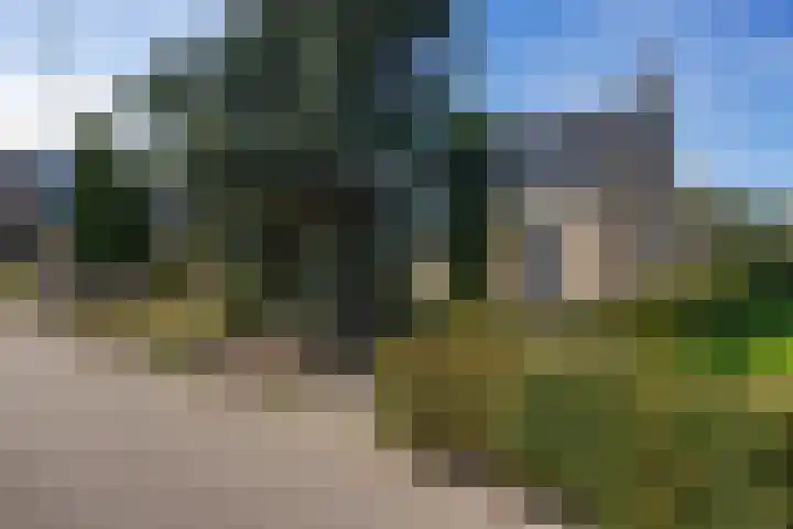 Oudestreek 12 I Zevenhuizen thumbnail 40