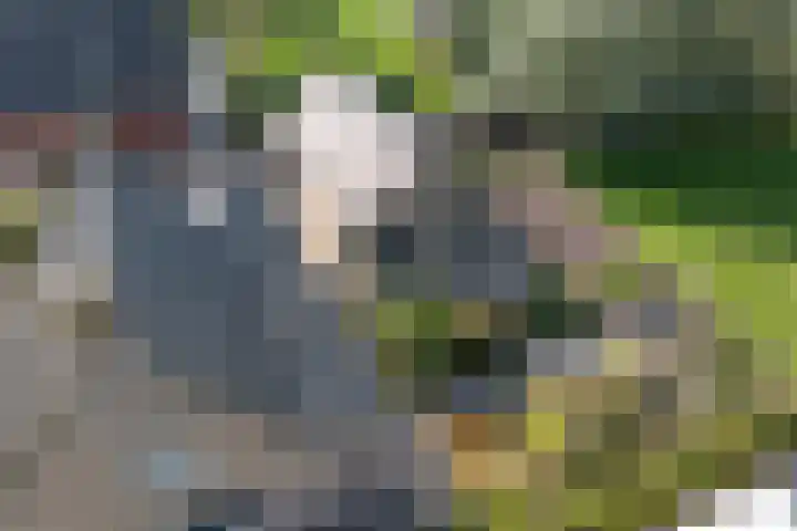 Oudestreek 12 I Zevenhuizen thumbnail 41
