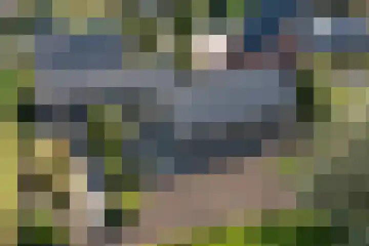 Oudestreek 12 I Zevenhuizen thumbnail 42