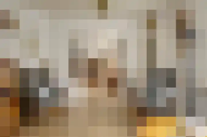 Oudestreek 9 Zevenhuizen thumbnail 10
