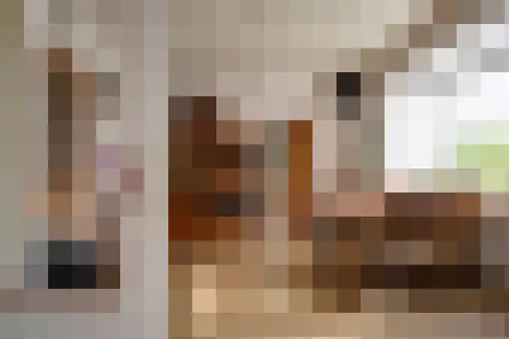 Oudestreek 9 Zevenhuizen thumbnail 11
