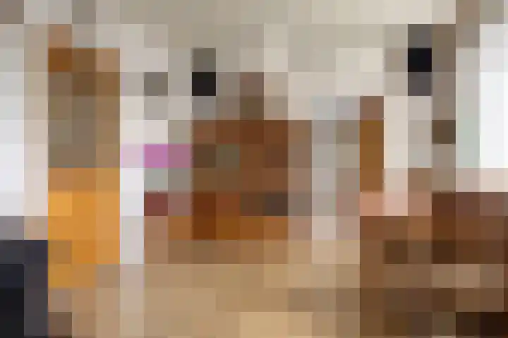 Oudestreek 9 Zevenhuizen thumbnail 12