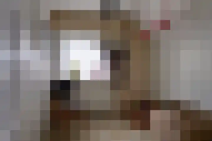 Oudestreek 9 Zevenhuizen thumbnail 22