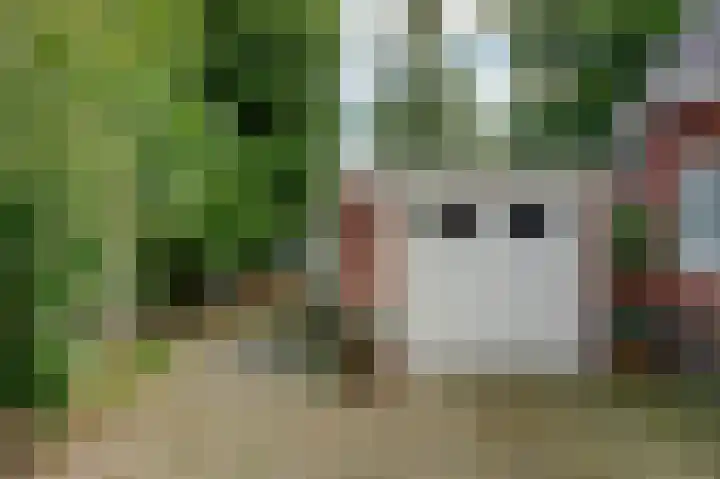 Oudestreek 9 Zevenhuizen thumbnail 26