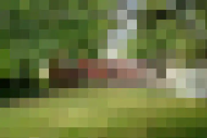 Oudestreek 9 Zevenhuizen thumbnail 29