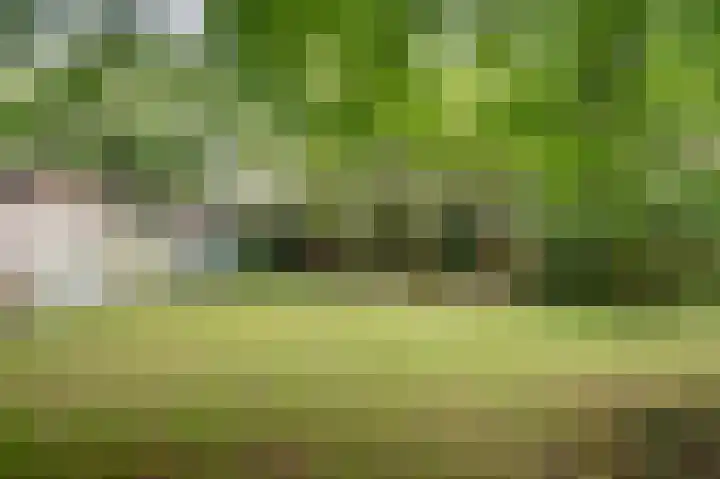 Oudestreek 9 Zevenhuizen thumbnail 30