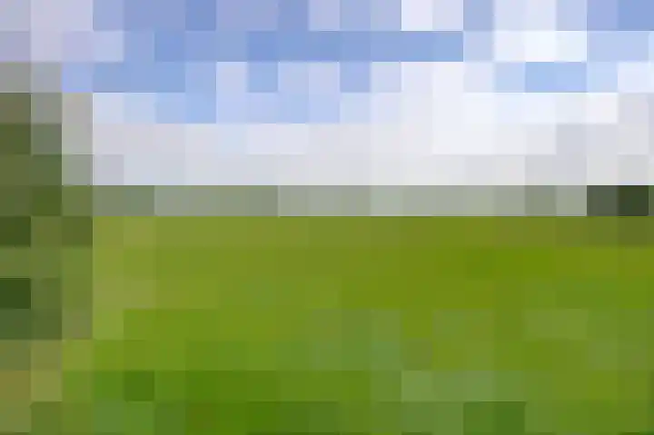 Oudestreek 9 Zevenhuizen thumbnail 31
