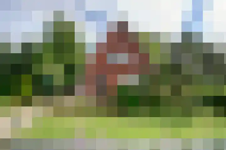 Oudestreek 9 Zevenhuizen thumbnail 32