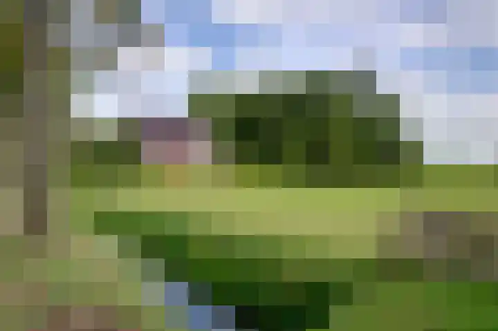 Oudestreek 9 Zevenhuizen thumbnail 33