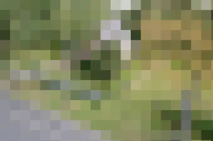 Oudestreek 9 Zevenhuizen thumbnail 34