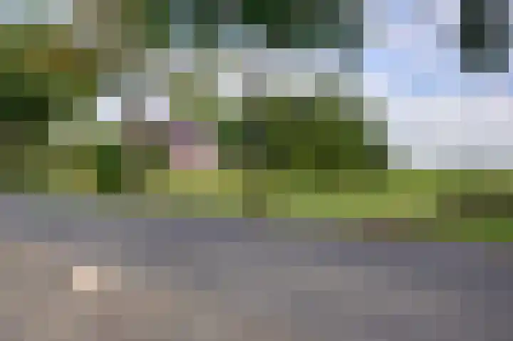Oudestreek 9 Zevenhuizen thumbnail 37