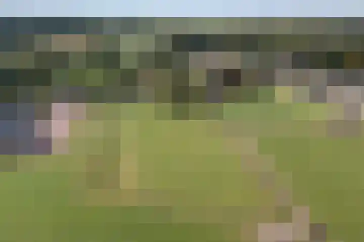 Oudestreek 9 Zevenhuizen thumbnail 4