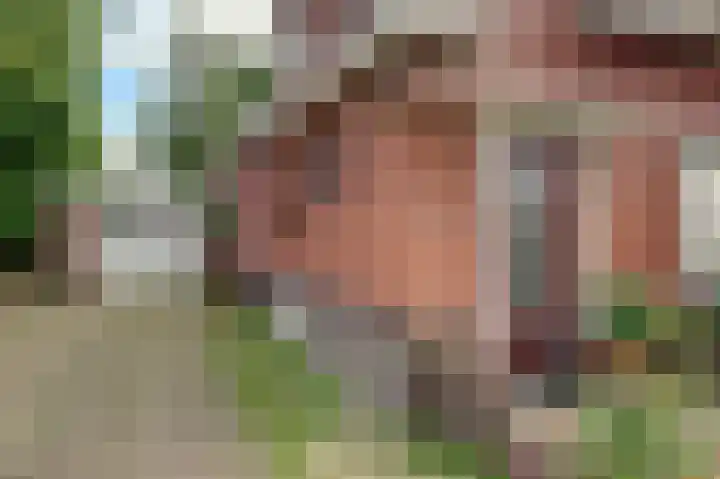 Oudestreek 9 Zevenhuizen thumbnail 6
